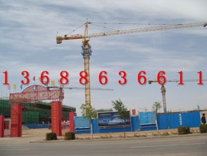 QTZ63塔吊 性能特點(diǎn)與市場供應(yīng)分析